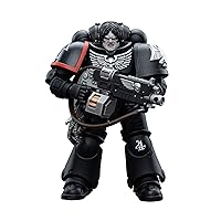 JOYTOY 1/18 Warhammer 40,000 Action Figure Raven Guard Intercessors Brother Colvane Collection Model(4.7Inch)