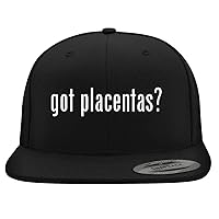 got Placentas? - Yupoong 6089 Structured Flat Bill Hat | Trendy Baseball Cap for Men and Women | Snapback Closure