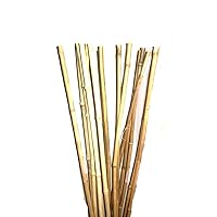 Natural Thick Bamboo Stakes 5 Feet Tall About Half Inch Diameter - Pack of 8 (Natural Yellow)