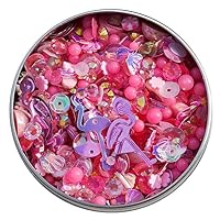 BGM Creations 2,000 Piece Assortment Charms Beads Poymer Clay Crystals for Slime Supplies, Shaker Elements DIY Nail Art, Craft Embellishments (Flamingo)