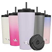 22OZ Insulated Tumbler with Lid and 2 Straws Stainless Steel Water Bottle Vacuum Travel Mug Coffee Cup,Taro