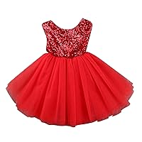 Baby Girl Mesh Tulle Birthday Dresses Tutu Sleeveless Pageant Party Dress Toddler Girl Wedding Clothes First Dress for Girls