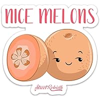 Nice Melons Sticker - 4 Inch Waterproof - Vinyl Stickers, Laptop Decal, Water Bottle Sticker, Car Decal, Skateboard Stickers, Funny Stickers, Small Gift, Fun Sticker Pun, Funny Puns