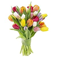 KaBloom PRIME NEXT DAY DELIVERY : Valentine's Day Collection - Bouquet of 20 Assorted Tulips Gift for Birthday, Sympathy, Anniversary, Get Well, Thank You, Valentine, Mother’s Day Flowers