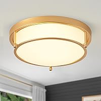13 inch Gold Ceiling Light, 2-Light Modern Ceiling Light with Frosted Glass Shade and Gold Finish Ceiling Light fixtures for Living Room Hallway Bedroom(Gold)