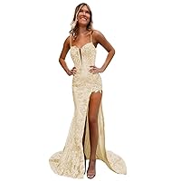 Lace Spaghetti Strap Prom Dresses with Train 2024 V Neck Mermaid Applique Formal Party Dresses Split DR0443