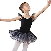 HIPPOSEUS Short Sleeve Ballet TUTU Leotards Dance Dresses Leotard Outfit for Ballerina Toddler Girls,Y-04WDM