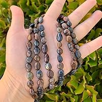 1 Strand Adabele Natural Pietersite Hawk's Eye and Tiger Eye Healing Gemstone Loose Beads 8mm to 10mm Free Form Oval Tumbled Pebble Stone Beads 15 inch for Jewelry Making GZ12-83