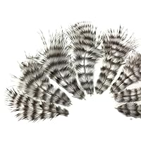 Moonlight Feather | 1 Dozen - Natural Grizzly Rooster Chickabou Whiting Superbou Fluff Feathers Fly Tying Supplies