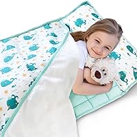 Toddler Nap Mat with Pillow and Blanket, Bluey Lightweight Kids Nap Mats for Preschool Daycare, Travel Sleeping Bag for Boys Girls, 50