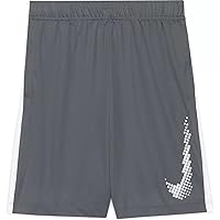 Nike Big Boys Dominate Graphic Shorts (Grey(DA0137-084)/White, Large)