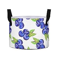 Watercolor Blueberries Grow Bags 5 Gallon Fabric Pots with Handles Heavy Duty Pots for Plants Aeration Container Nonwoven Plant Grow Bag for Potato Tomato Fruits Flowers Garden