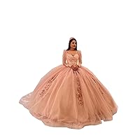 2024 Vintage Square Neck Long Illusion Sleeve 3D Floral Flower Ball Gown Quinceanera Prom Formal Dresses Long