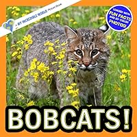 Bobcats!: A My Incredible World Picture Book for Children (My Incredible World: Nature and Animal Picture Books for Children) Bobcats!: A My Incredible World Picture Book for Children (My Incredible World: Nature and Animal Picture Books for Children) Paperback Kindle