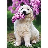 White Dog Holding Lilac In Mouth Cute Animal Mother's Day Card