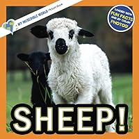 Sheep!: A My Incredible World Picture Book for Children (My Incredible World: Nature and Animal Picture Books for Children) Sheep!: A My Incredible World Picture Book for Children (My Incredible World: Nature and Animal Picture Books for Children) Paperback Kindle