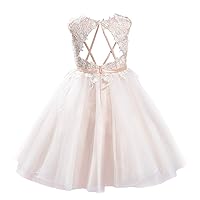 PLUVIOPHILY Backless Keyhole Back Lace Tulle Wedding Flower Girl Dress Kids Party Dress