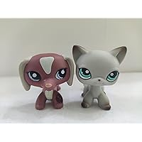 2pcs/Lot Set Pets Littlest Pet Shop LPS Cats Kitty lps Dachshund Dog Doll Collection Figure Toys Rare Gift Girl Toys