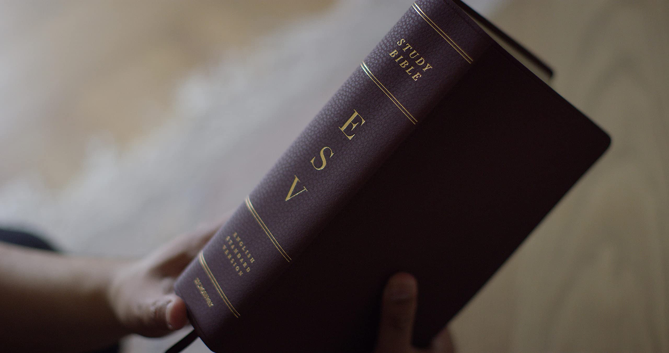 ESV Study Bible, Large Print (Bonded Leather, Burgundy)