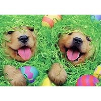 Puppies and Eggs in Easter Grass Cute Dog Easter Card
