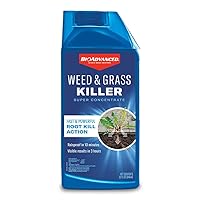 BioAdvanced Weed & Grass Killer, 32-Ounce, Super Concentrate