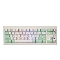 EPOMAKER Shadow-X Gasket Mechanical Keyboard with Screen, Hot Swappable 3 Modes (2.4ghz/Bluetooth/USB-C Wired) Wireless Gaming Keyboard, Poron Foam, Silicon Pad (White Green, Flamingo Switch)