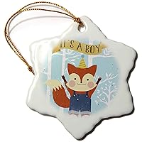 3dRose Baby Shower-Baby Boy Birthday-Blue Fox Animal Illustration for... - Ornaments (orn-269190-1)