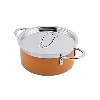Bon Chef 60303 Stainless Steel/Aluminum Classic Country French Collection Pot with Cover, 5.7 Quart Capacity, 10-1/8