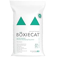Boxiecat Premium Clumping Clay Cat Litter, Gently Scented, 40lbs - Longer Lasting Odor Control - Hard, Non Stick Clumps - Stays Ultra Clean - 99.9% Dust Free