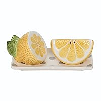 Transpac A5507 Lemon Salt and Pepper Shaker with Tray, Set of 3, Dolomite