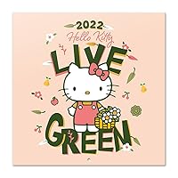 Grupo Erik: Official Hello Kitty 2022 Wall Calendar, 12' x 12' Square (Free Poster Included), Family Calendar 2022, Kids Calendar