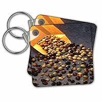 3dRose Key Chains Food Assorted Soybean Seeds (kc-285119-1)
