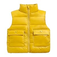 Toddler Boys Girls Sleeveless Collar Solid Color Down Vest With Pockets Smooth Zipper Jacket Girls Puffers