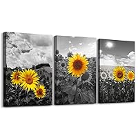 Large size Canvas Wall Art for Living Room family Bedroom wall painting Decoration,Bathroom Wall Decor kitchen Home Decoration Black and white sunflower flowerswall pictures artwork,16x24 3 piece