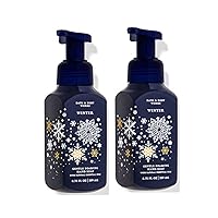 Bath and Body Works Winter Gentle Foaming Hand Soap, 2-Pack 8.75 Ounce (Winter)