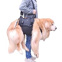 Dog Carry Sling, Emergency Backpack Pet Legs Support & Rehabilitation Dog Lift Harness for Large Dogs, Dog Carrier for Senior Dogs Joint Injuries, Arthritis, Up and Down Stairs (Black, XL)