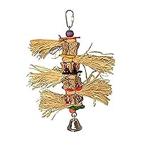 Super Bird Creations SB946 Tassel Time Bird Toy - Ideal for Parrotlets, Parakeets, Cockatiels, Lovebirds, and More - Durable Enrichment and Foraging Toy for Bird Cages, Medium Sized Birds, 10
