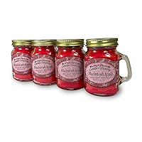 Our Own Candle Company Macintosh Apple Scented Mini Mason Jar Candle, 3.5 Ounce (4 Pack)