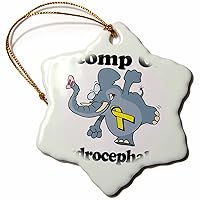 3dRose Elephant Stomp On Hydrocephalus Awareness Ribbon Cause Design - Ornaments (orn-114569-1)