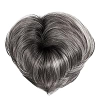 Raquel Welch Top Billing 5 Inch Top-Of-The-Head Hairpiece by Hairuwear, RL511 Sugar And Charcoal