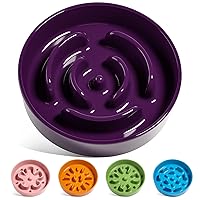 LE TAUCI Ceramic Slow Feeder Dog Bowls Small Breed, 0.6 Cups Dog Food Dish for Fast Eaters, Puzzle Bowl for Small Dogs and Cats,Purple