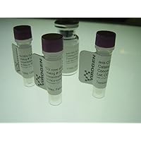 HIV type O envelope antigen. Synthetic HIV type-O peptide, containing the HIV type-O envelope-derived sequence.; 100ug