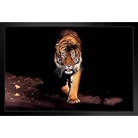Eyes of the Tiger Siberian Tiger Hunting Tiger Art Print Tiger Pictures Wall Decor Tiger Stripe Jungle Animal Art Print Tiger Whiskers Decor Pictures of Tigers Stand or Hang Wood Frame Display 9x13