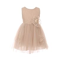 Girls' 3D Lace Flower Embroidery Flower Girl Party Dress for Pageant Special Occasion