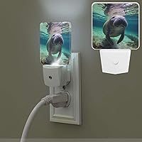 Cute Sea Animal Manatee Print Night Light with Light Sensors Plug in LED Lights Smart Nightstand Lamp Plug in Night Light for Bedroom Bathroom Hallway Home Decor