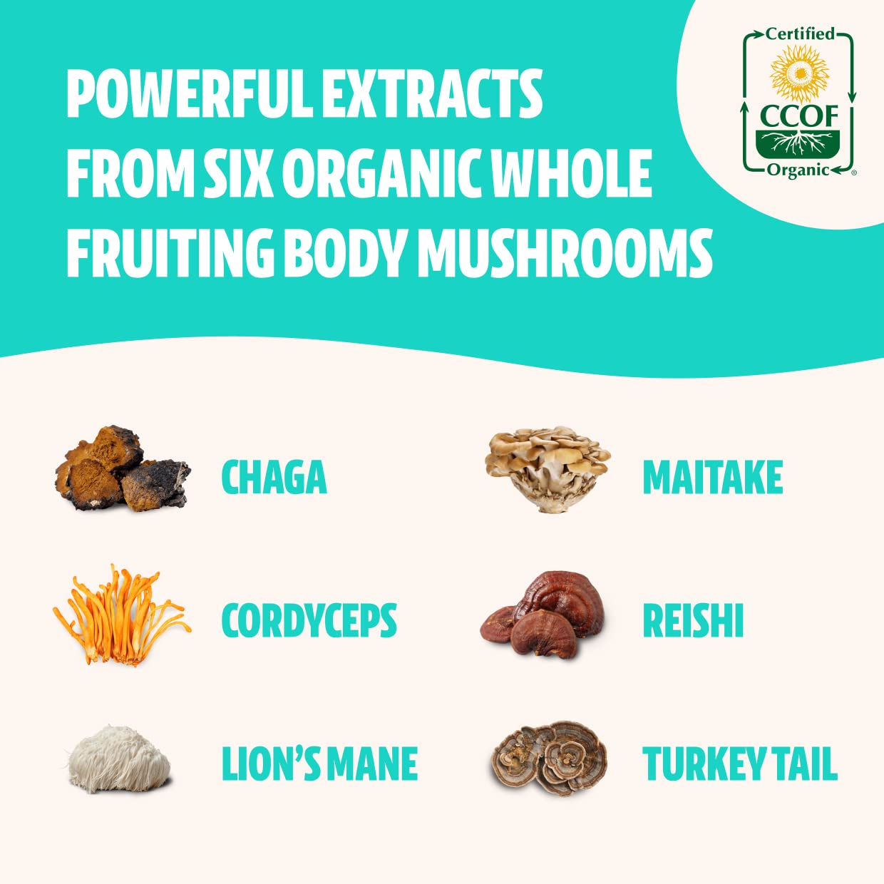 FreshCap, Ultimate Mushroom Complex Capsule - Lion's Mane, Reishi, Cordyceps, Chaga, Turkey Tail, Maitake - Supplement - Real Fruiting Body - No Fillers