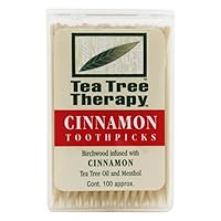 Cinnamon Toothpicks (1x100 CT)