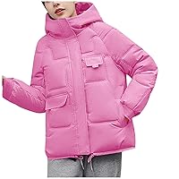 Womens Casual Solid Hooded Puffer Jacket Winter Quilted Lightweight Padded Coat High Neck Drawstring Hem Outerwear
