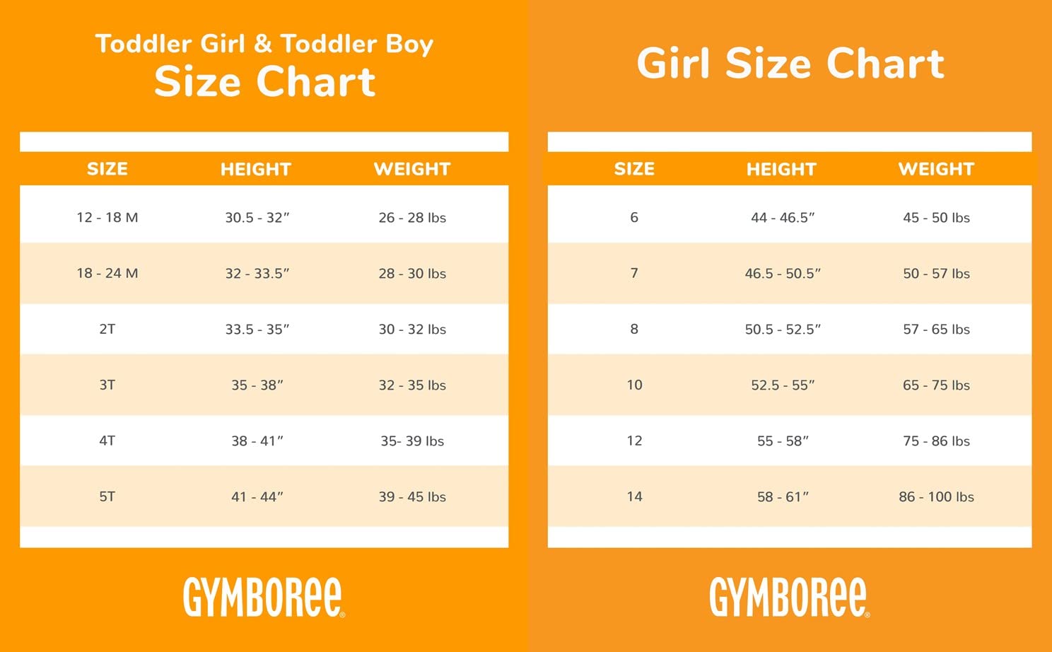 Gymboree Girls and Toddler Long Sleeve Basic Layering Shirt