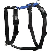 Buckle-Neck Balance Harness, Fully Customizable Fit No-Pull Harness, Ideal for Dog Training and Obedience, Made in The USA, Blue, Medium/Large